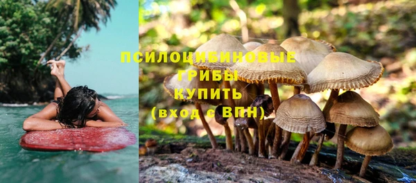 СК Аркадак