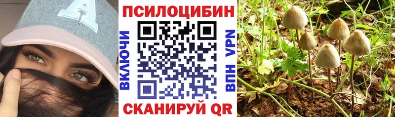 Галлюциногенные грибы Cubensis Болгар